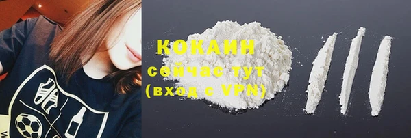 крисы Абдулино