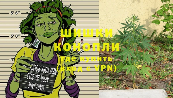 крисы Абдулино