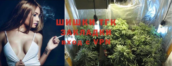 крисы Абдулино