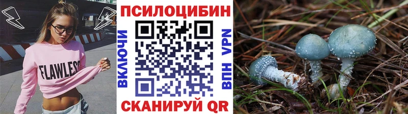 Галлюциногенные грибы Cubensis  гидра зеркало  Невельск 