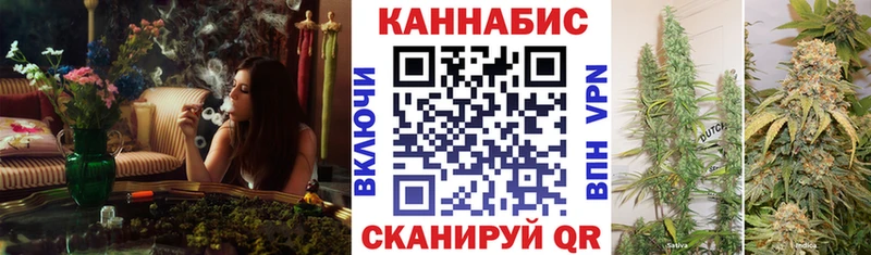 хочу наркоту Невельск Каннабис индика